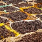 The Vanilla Journey: History, Varieties, and Culinary Magic